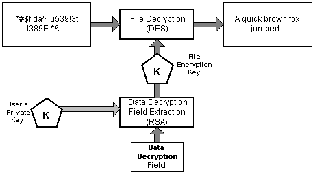 NTFS. The decryption process is opposite to encryption