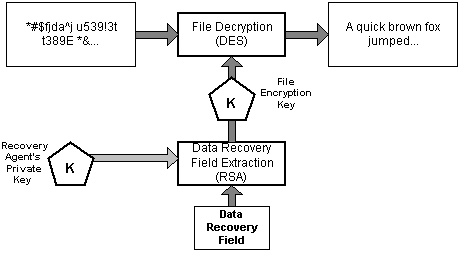 NTFS. Recovery process. EFS